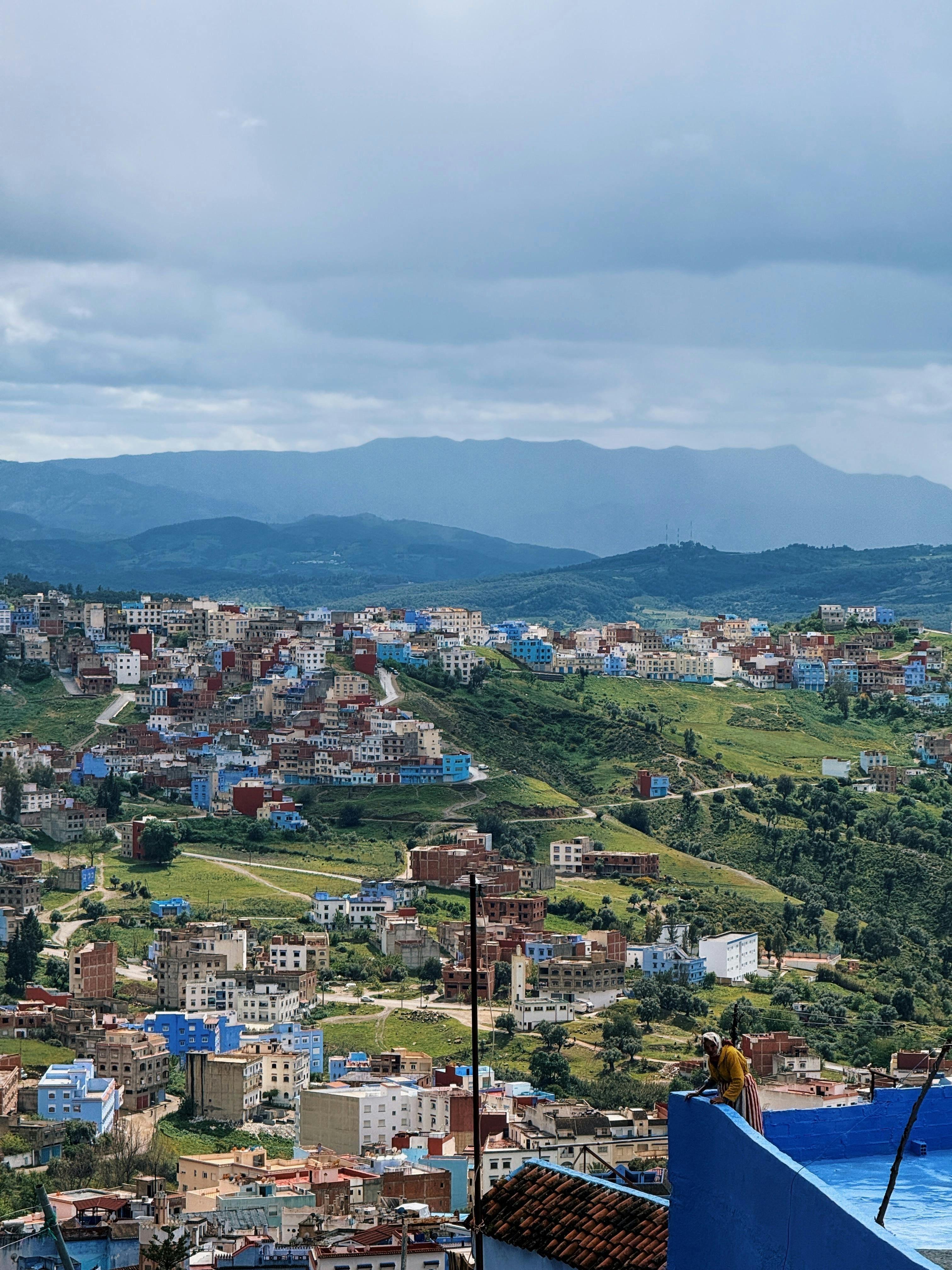 pexels-yaounde-density-31661541.jpg